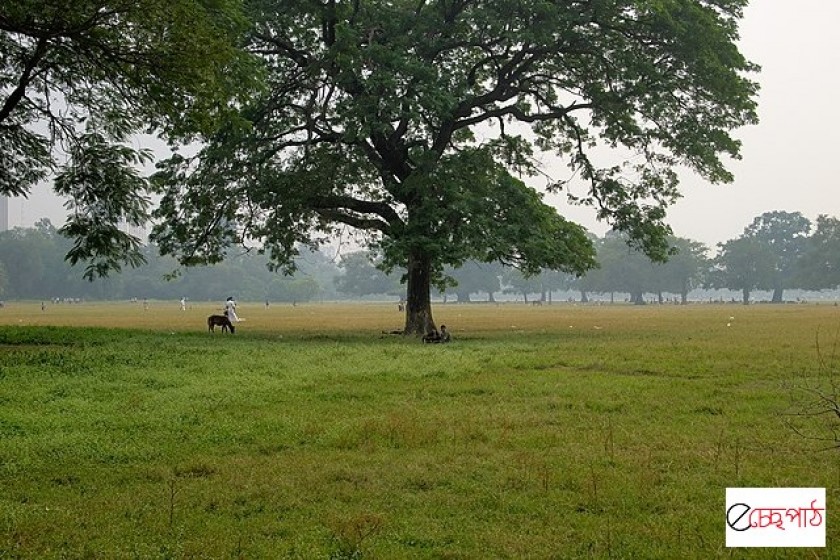 কীভাবে তৈরি হল কলকাতার ময়দান?